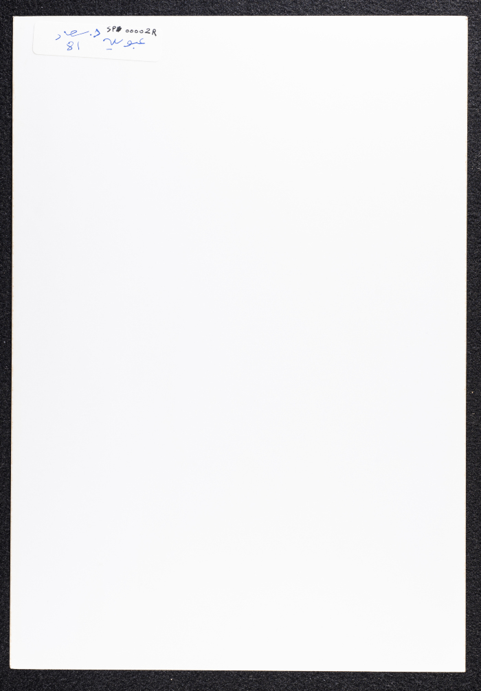 صورة لقصر صالح البرغوثي في قرية دير غسانة