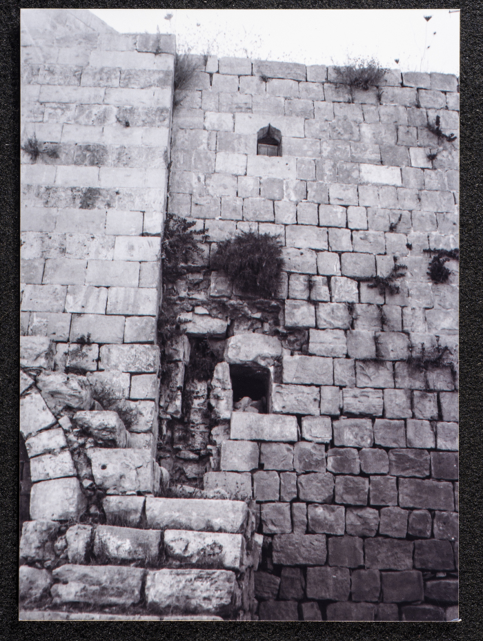 A Photograph of Ṣaleh al-Barghuthy's Mansion in Deir Ghassaneh Village
