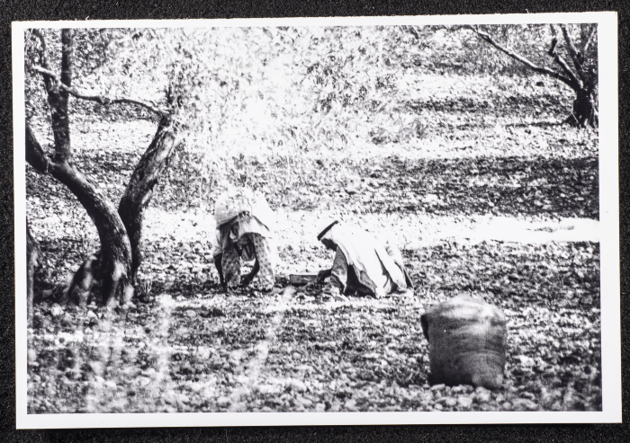 مشهد عام من قرية دورا الخليل 