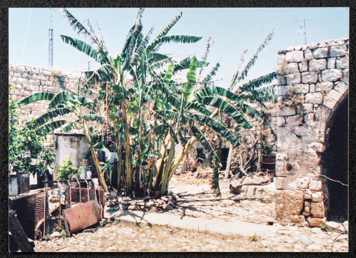 دير غسانة حوش الرابي 