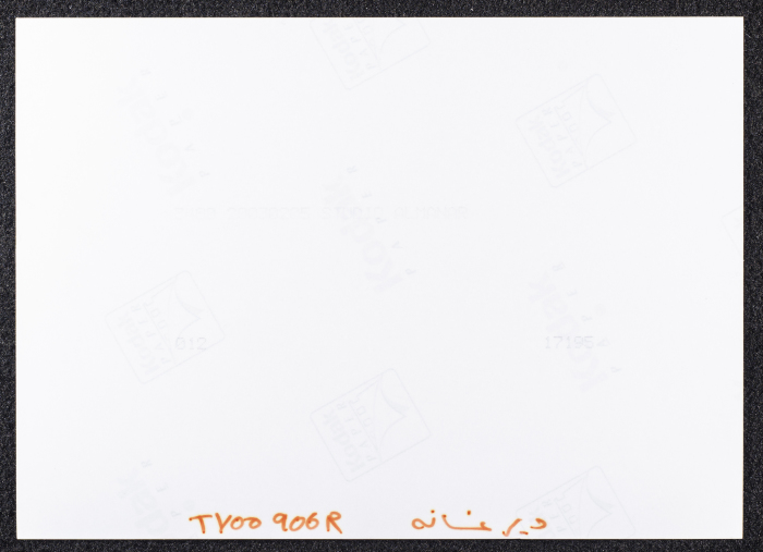 صورة لقصر صالح البرغوثي في قرية دير غسانة