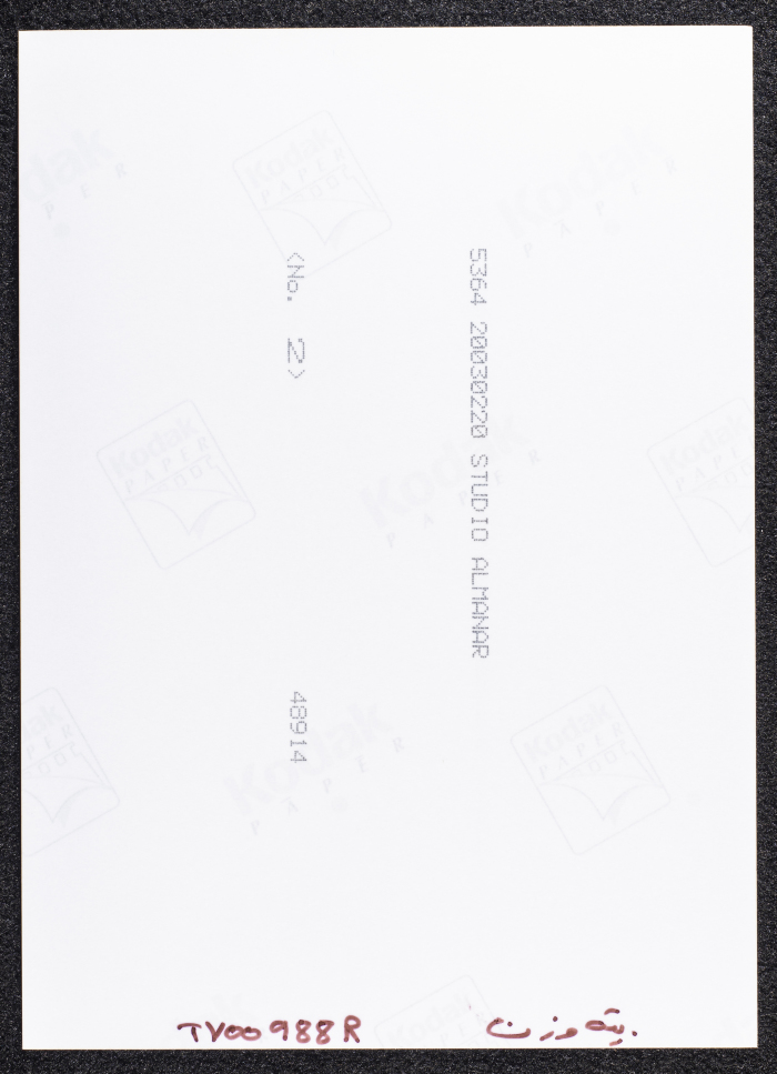 صورة لقصر القاسم، قرية بيت وزن، نابلس