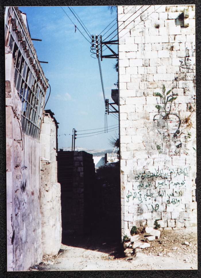 صورة لقصر القاسم، قرية بيت وزن، نابلس