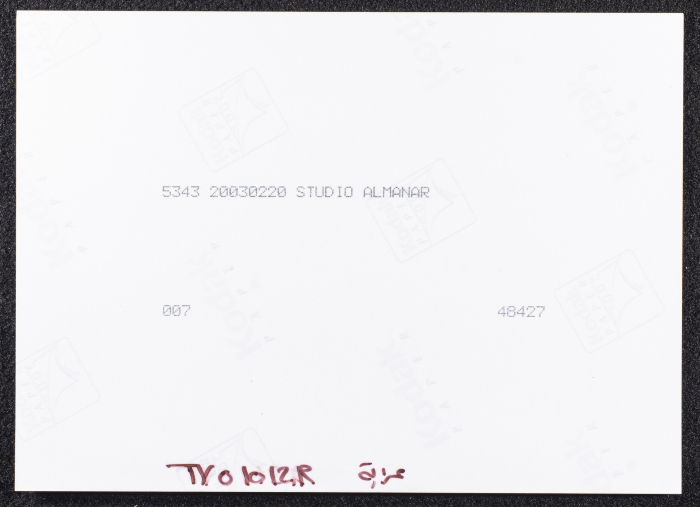 A Photograph of the Sihwail Family's Mansion in the Village Abwein