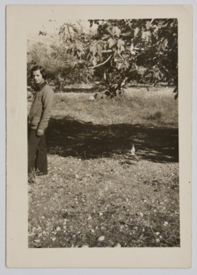 A Photograph of the Shaheed Abdullah Alawneh Sent to his Friend 