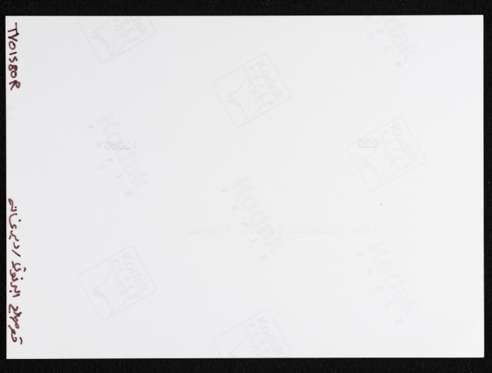 A Photograph of the Sihwail Family's Mansion in the Village Abwein