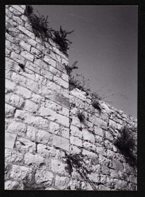 A Photograph of the Sihwail Family's Mansion in the Village Abwein