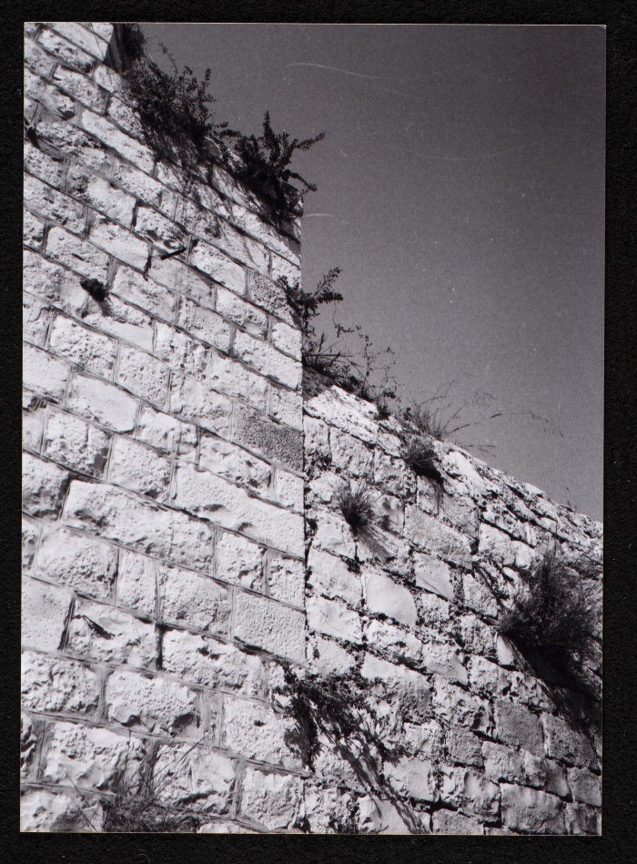 A Photograph of the Sihwail Family's Mansion in the Village Abwein