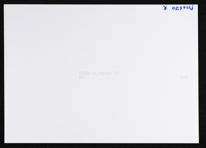 بد الزيتون في قرية بيت ريما قضاء رام الله 