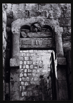 بد الزيتون في قرية بيت ريما قضاء رام الله 