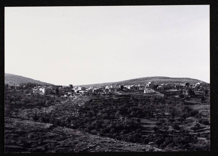 A Glimpse of the Village of Dayr Ghassana