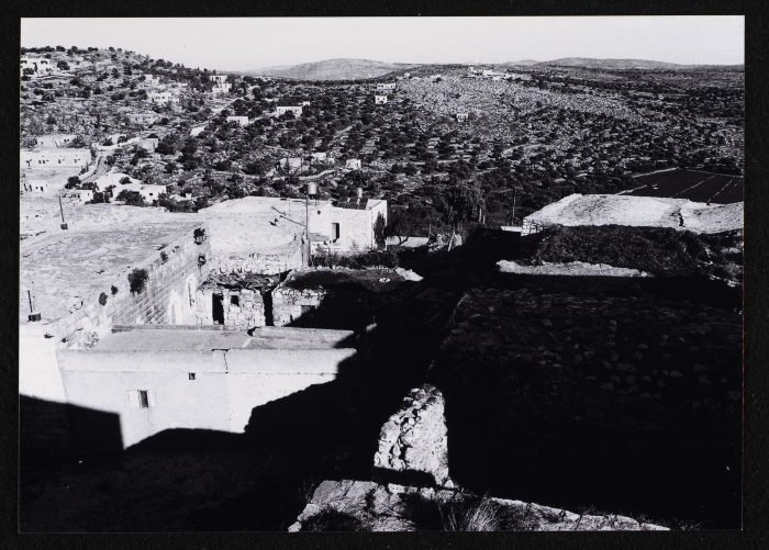 A Glimpse of the Village of Dayr Ghassana