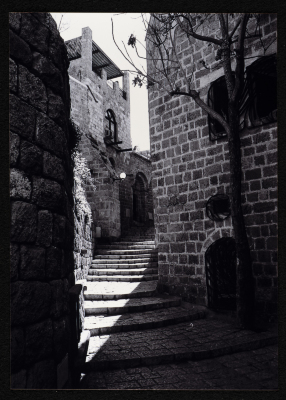 A Landscape of Old Jaffa 