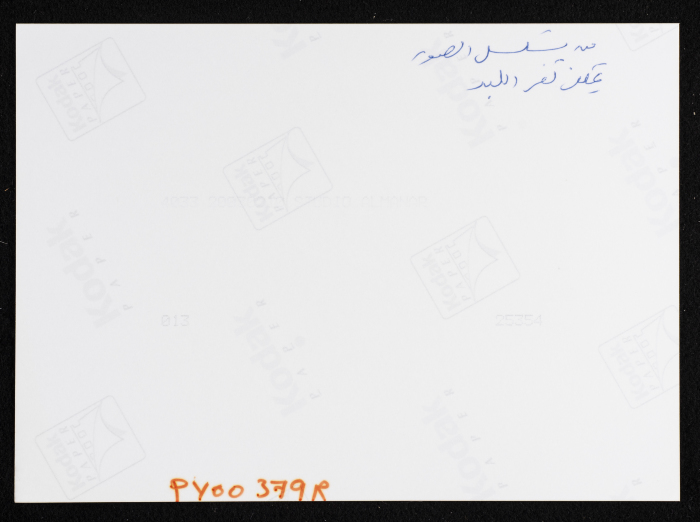 A General Landscape of Kafr al-Labad Village - Tulkarm Governorate 