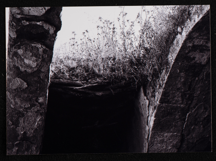A Glimpse of the Village of Dayr Ghassana