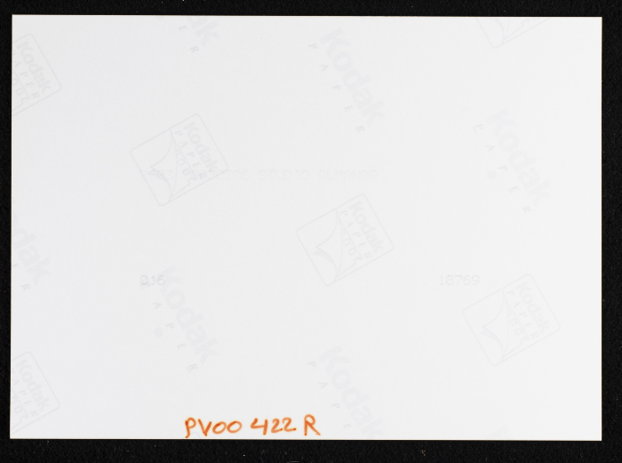 صورة من حصاد القمح في مدينة البيرة