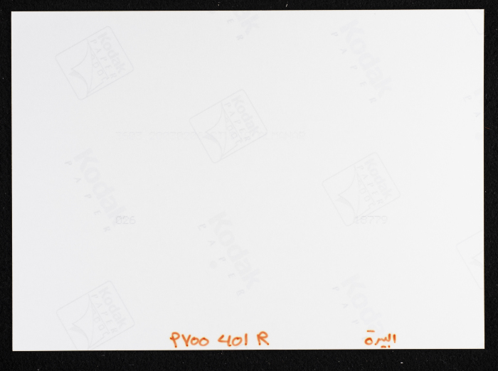 صورة من حصاد القمح في مدينة البيرة