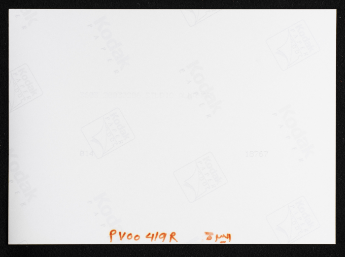 A Photograph of Wheat Harvest in al-Bireh City
