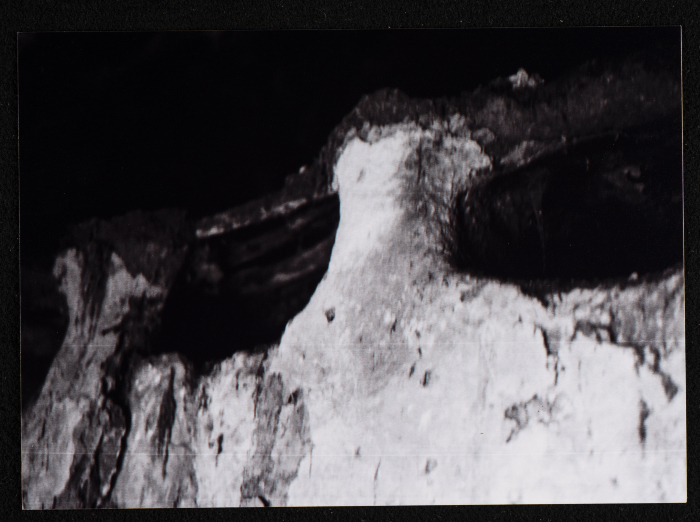 A Landscape of Al-Mazra'a ash-Sharqiya Village - District of Ramallah 