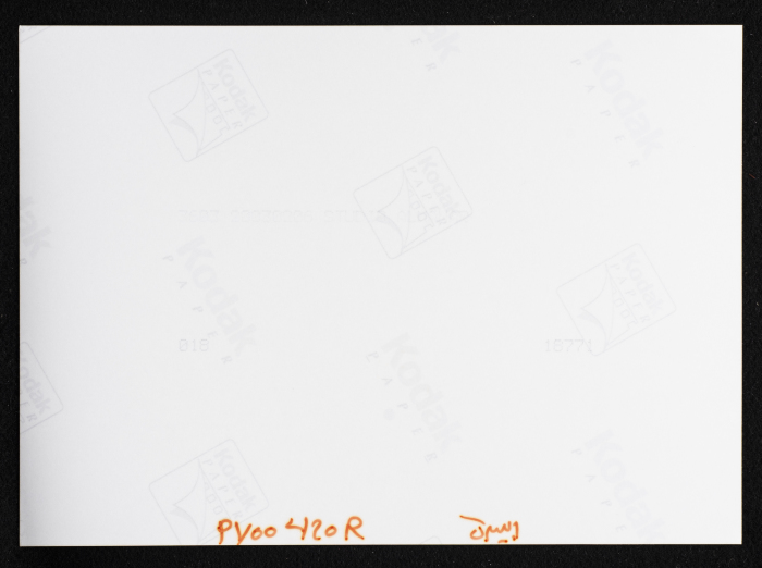 صورة من حصاد القمح في مدينة البيرة