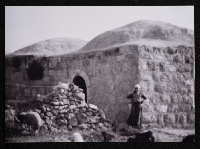 صورة من قرية يطا قضاء مدينة الخليل 