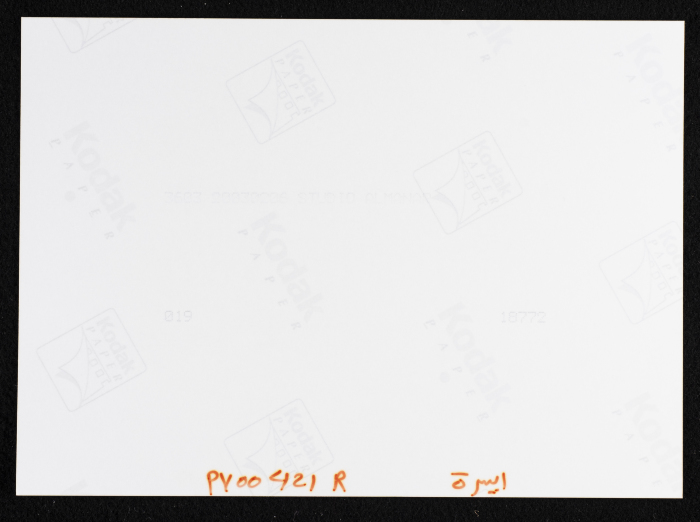 صورة من حصاد القمح في مدينة البيرة