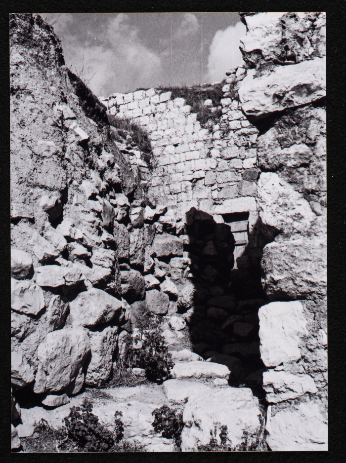 A Landscape of Al-Mazra'a ash-Sharqiya Village - District of Ramallah 