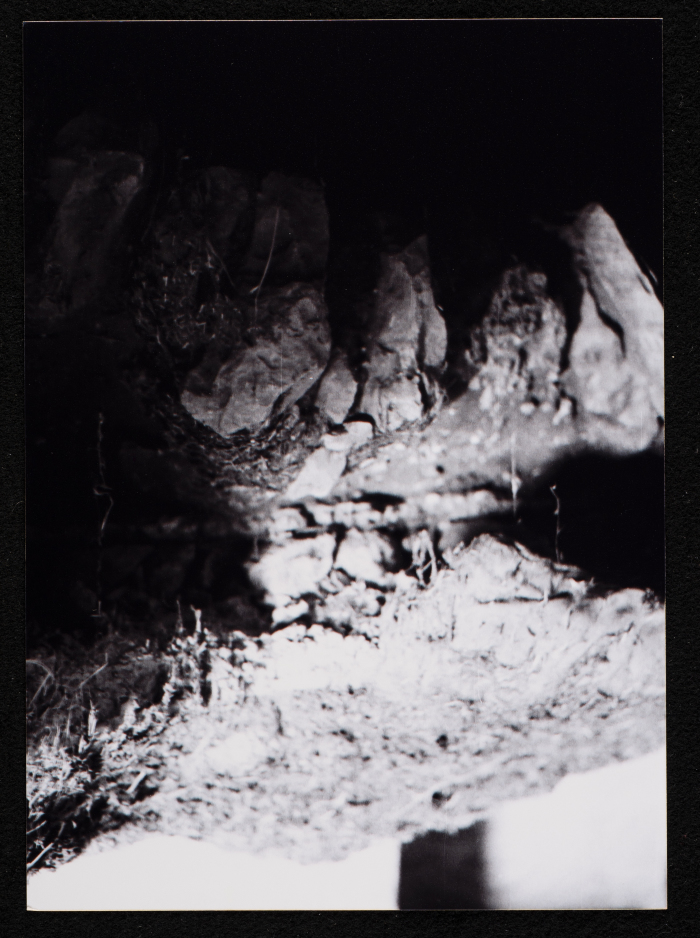 مشهد عام من قرية المزرعة الشرقية قضاء رام الله. 