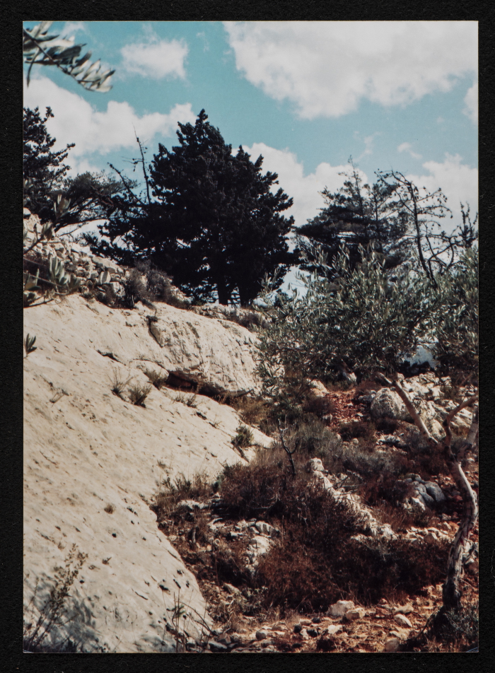 صورة من منطقة تل الصفا، قضاء رام الله