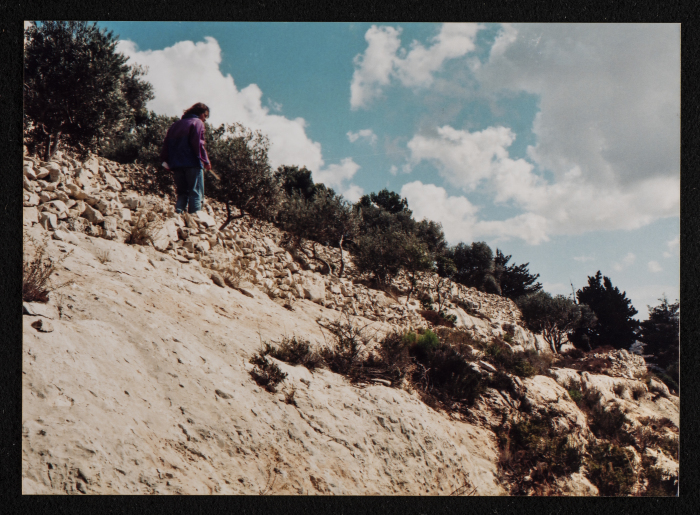 صورة من منطقة تل الصفا، قضاء رام الله