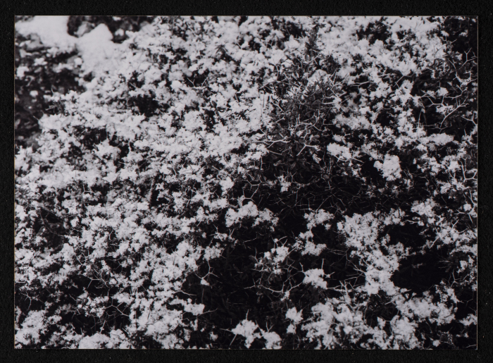 مشهد عام لتراكم الثلوج على الطريق بين رام الله وبيرزيت 