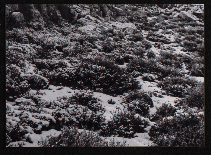 مشهد عام لتراكم الثلوج على الطريق بين رام الله وبيرزيت 