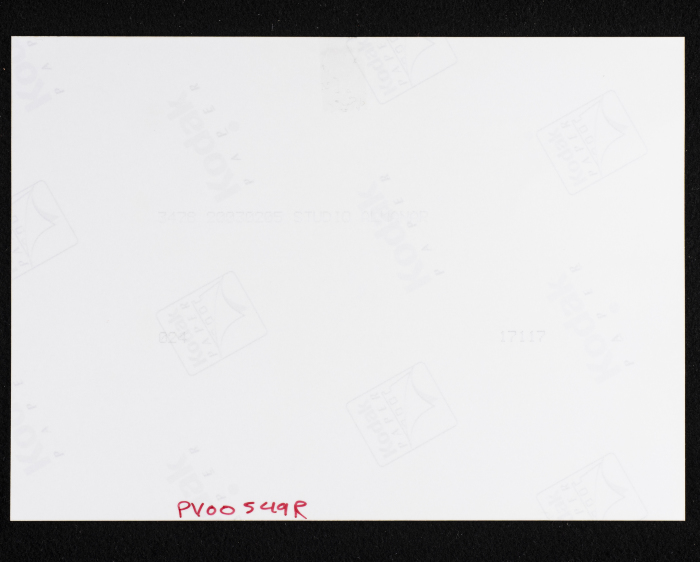 A Photograph of the Sihwail Family's Mansion in the Village Abwein