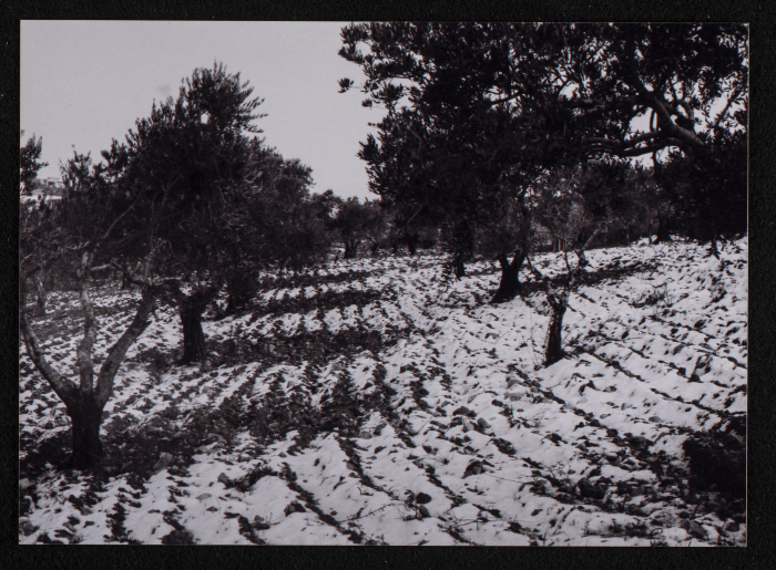 مشهد عام لتراكم الثلوج على الطريق بين رام الله وبيرزيت 