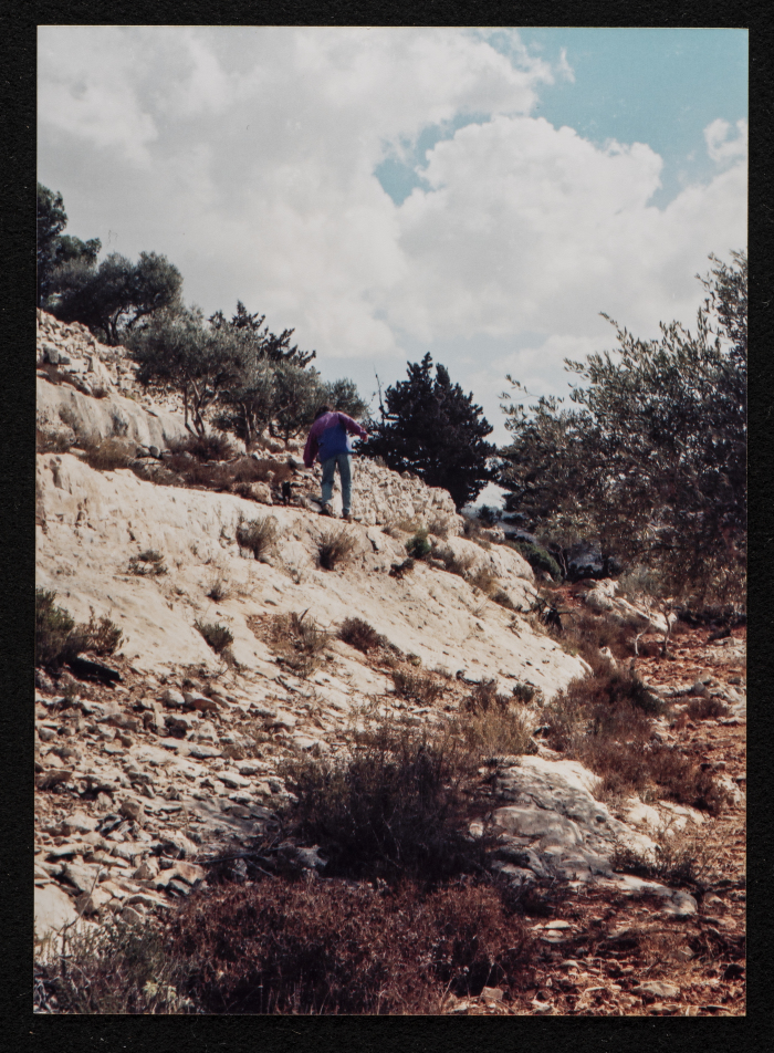 صورة من منطقة تل الصفا، قضاء رام الله