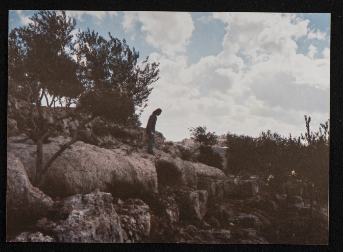 صورة من منطقة تل الصفا، قضاء رام الله