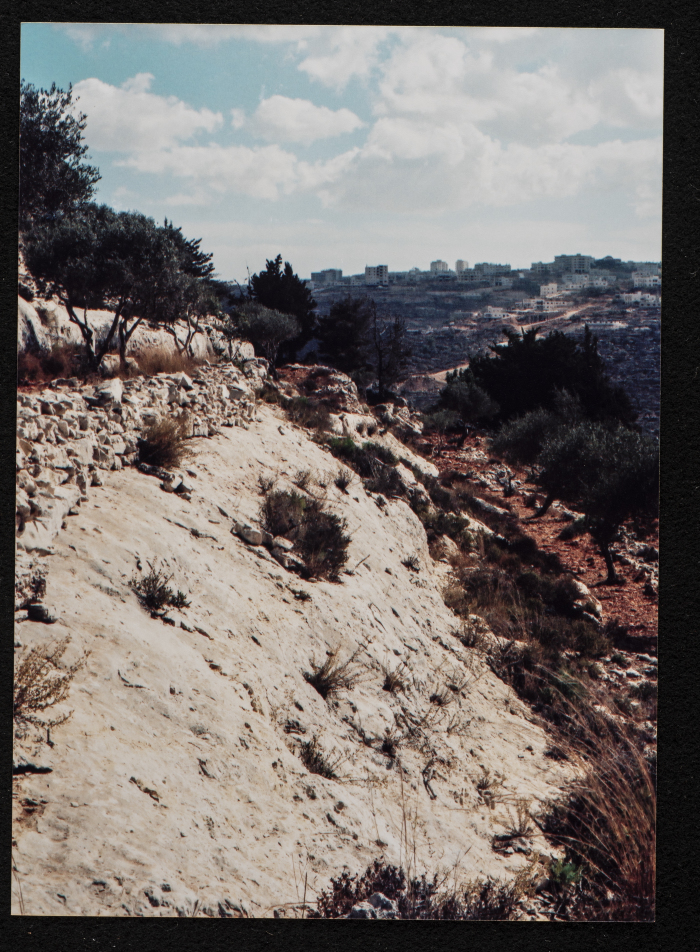 صورة من منطقة تل الصفا، قضاء رام الله