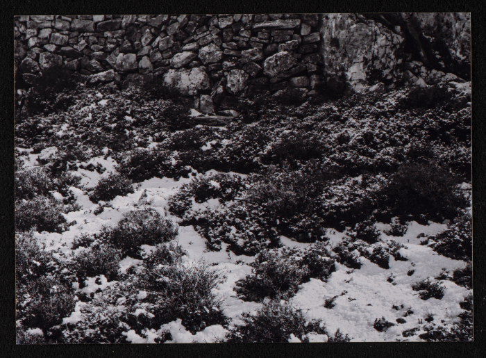 مشهد عام لتراكم الثلوج على الطريق بين رام الله وبيرزيت 