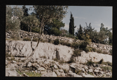 A Photograph of Tel es-Safa Area, Ramallah
