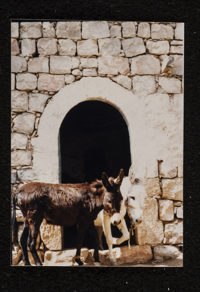 A photograph of ash-Shuʿayby Family Housh in Deir Ghassane,  Ramallah