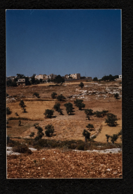 A photograph of ash-Shuʿayby Family Housh in Deir Ghassane,  Ramallah