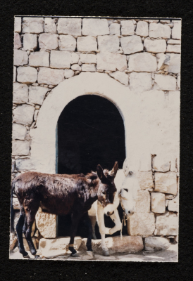 A photograph of ash-Shuʿayby Family Housh in Deir Ghassane,  Ramallah