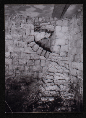 صورة لقصر صالح البرغوثي في قرية دير غسانة