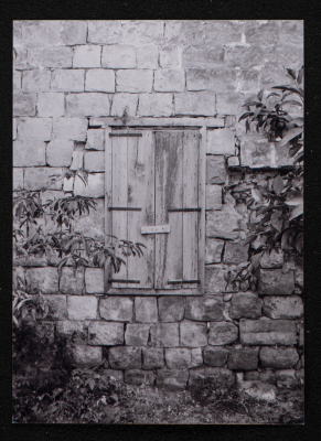 A Photograph of Ṣaleh al-Barghuthy