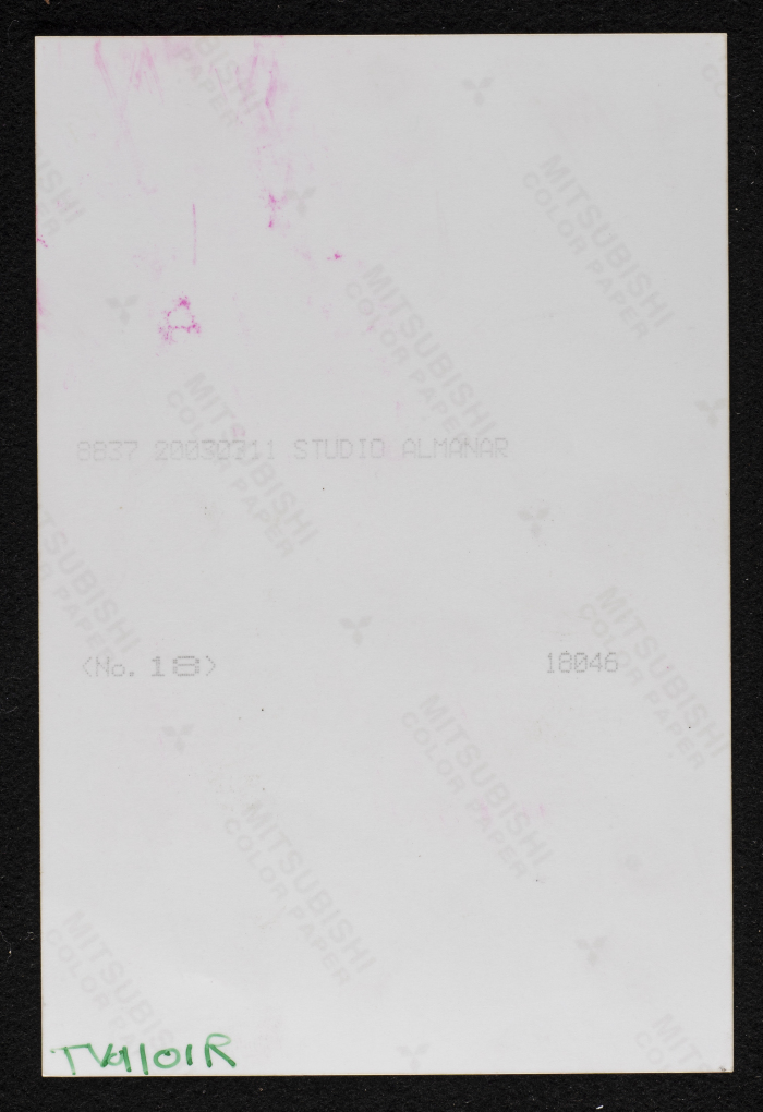 A Photograph of the Sihwail Family's Mansion in the Village Abwein
