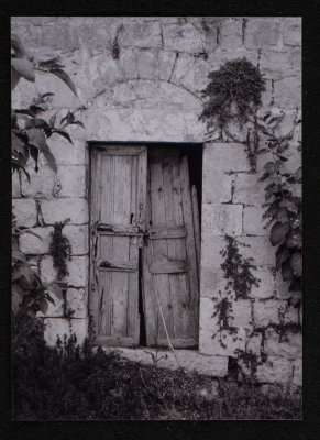 A Photograph of Ṣaleh al-Barghuthy