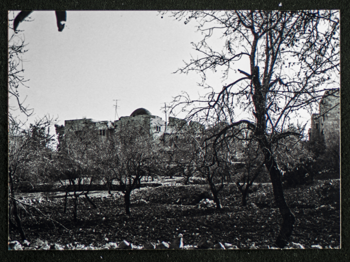 A Photograph of Ṣaleh al-Barghuthy's Mansion in Deir Ghassaneh Village
