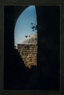 A Photograph of Ṣaleh al-Barghuthy