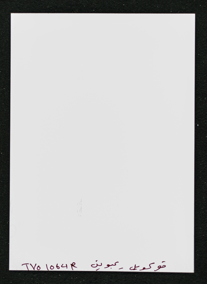 A Photograph of the Sihwail Family's Mansion in the Village Abwein
