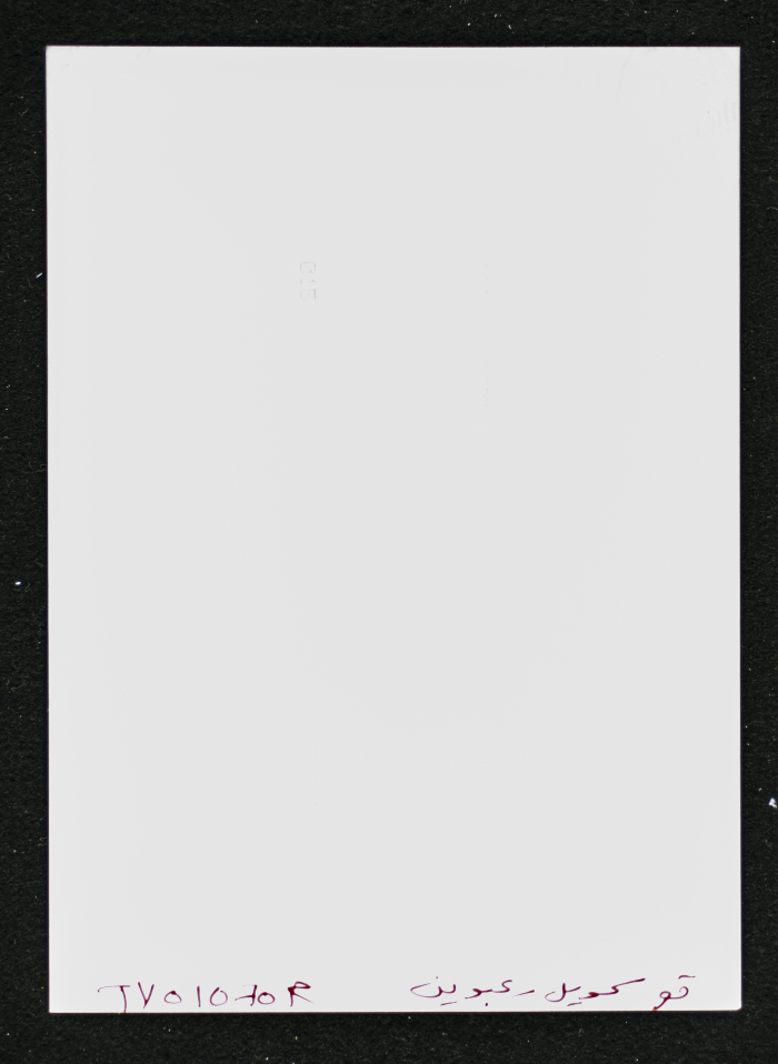 A Photograph of the Sihwail Family's Mansion in the Village Abwein
